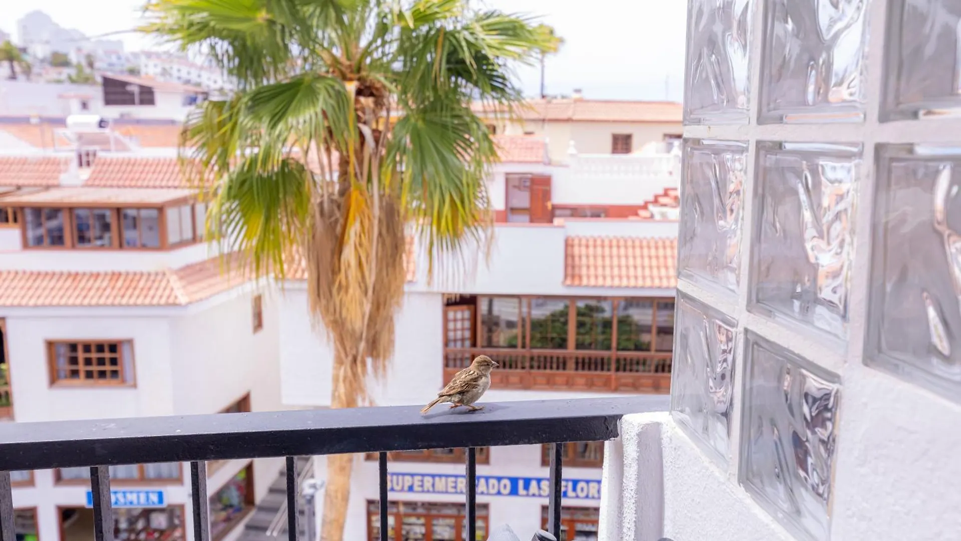 Beautiful View Appartement Los Gigantes Акантиладо-де-Лос-Хигантес 0*,